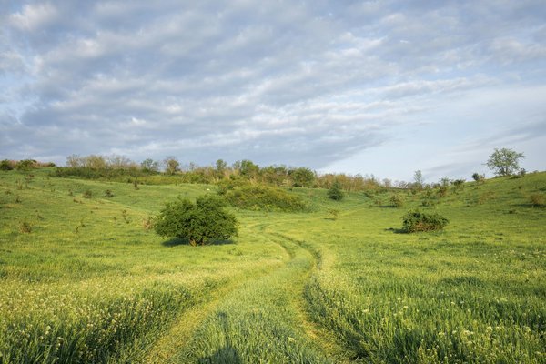 Hoe kun je de authentieke Nederlandse cultuur ervaren als toerist?
